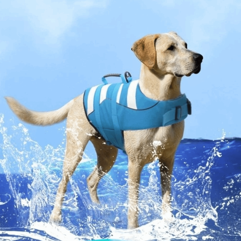 Dog Life Jacket Vest Buoyancy Handle - Chaleco Salvavidas Reflectante para Perros, Flotabilidad