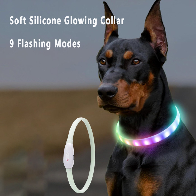 Led Dog Collar Glowing Rechargeable Usb - Collar brillante recargable por USB para