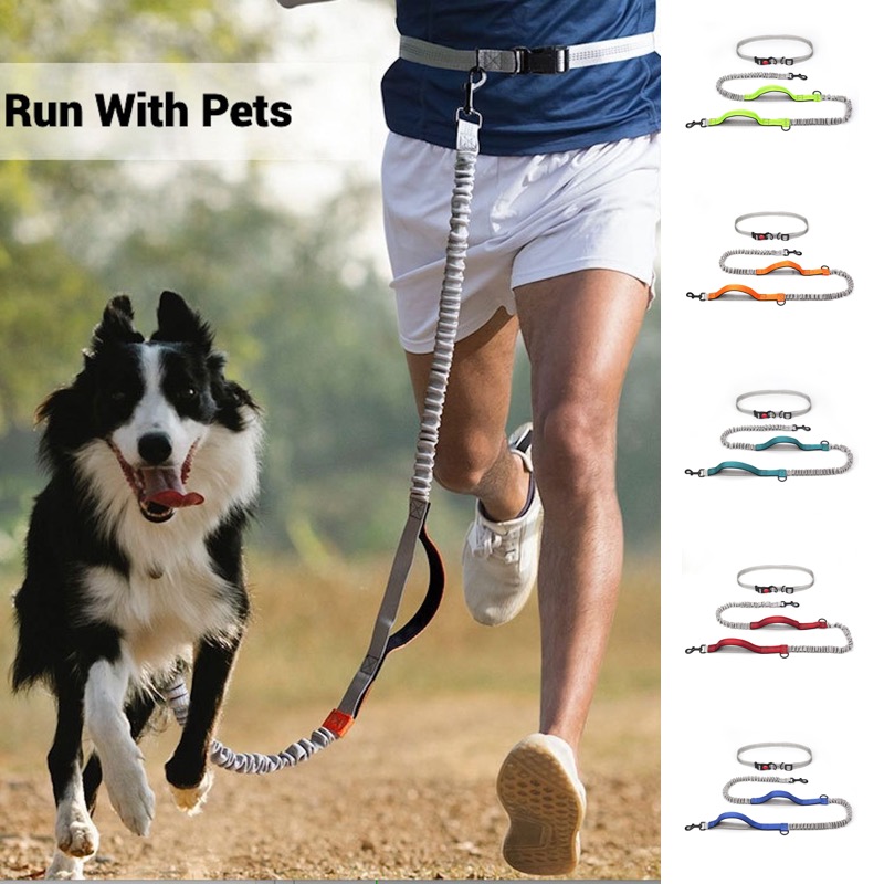 Bungee Dog Leash Shock Absorbing - Correa Reflectante para Perros con Amortiguación,