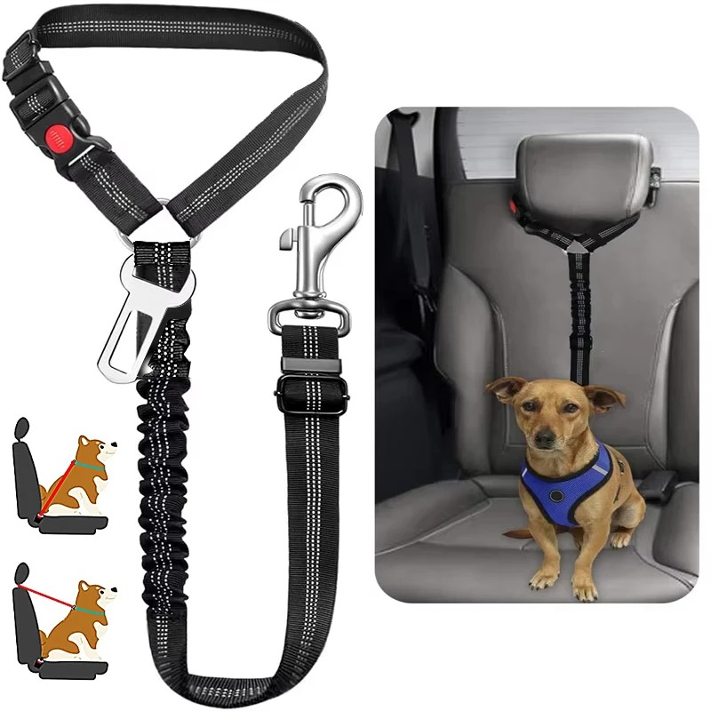 Bungee Dog Leash Shock Absorbing - Arnés de cinturón de seguridad para