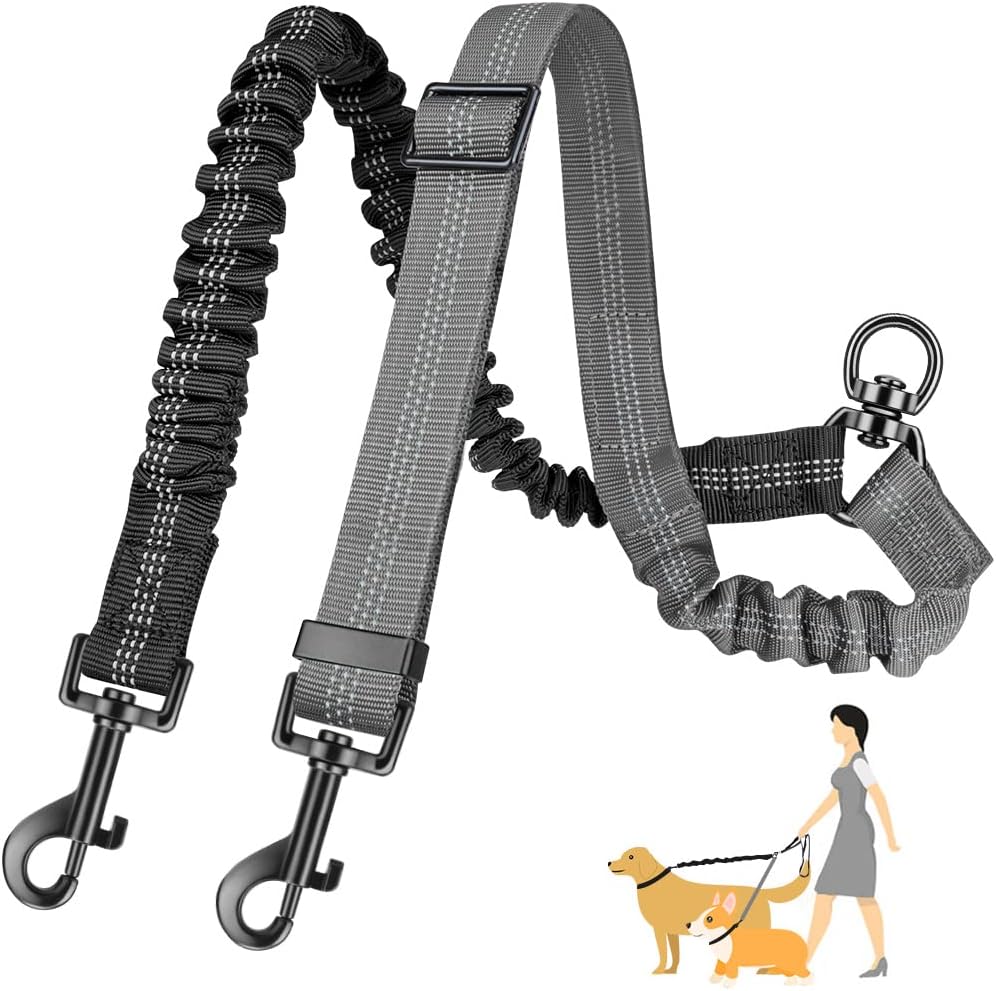 Bungee Dog Leash Shock Absorbing - Correa doble para perros 2 en