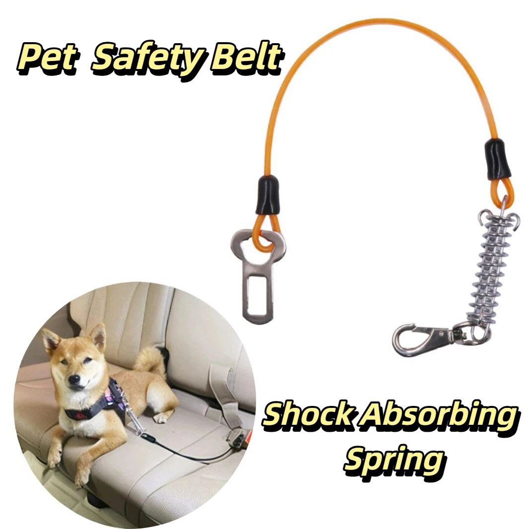 Bungee Dog Leash Shock Absorbing - Cinturón de seguridad de coche para