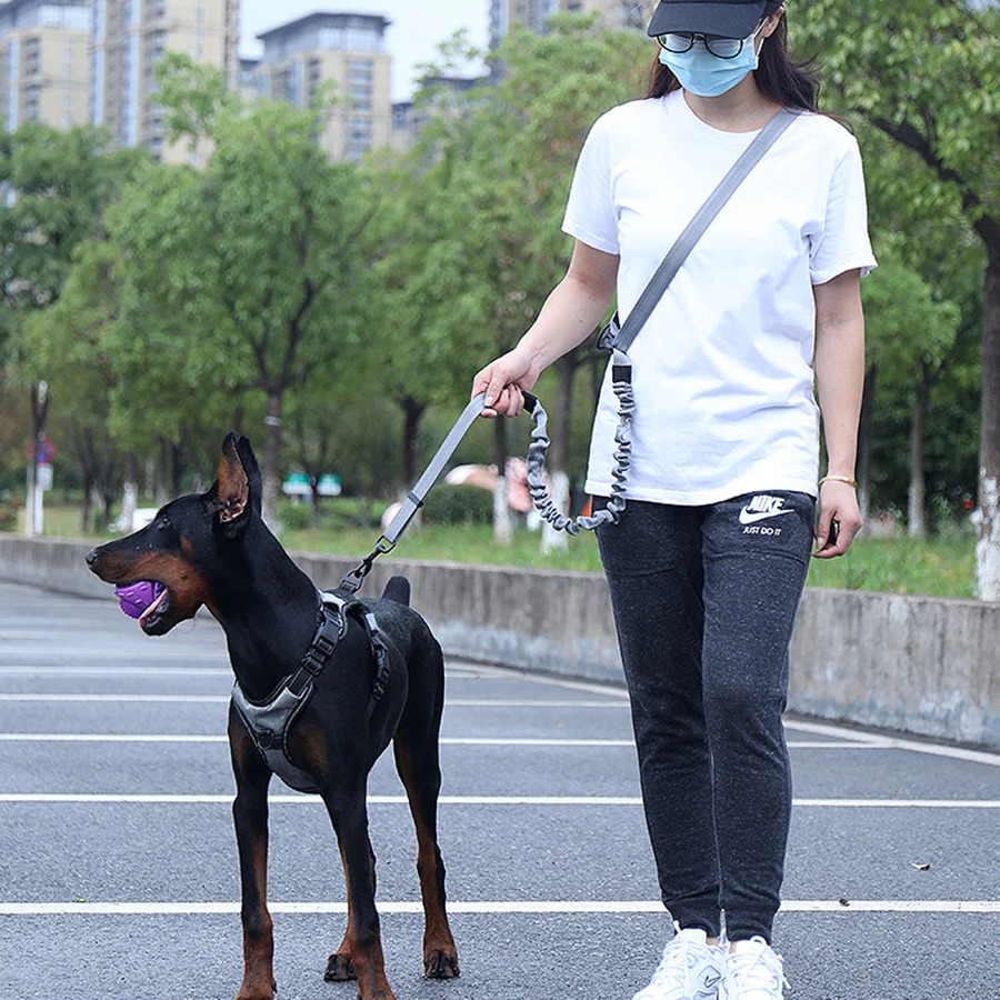 Hands Free Dog Running Leash Waist Belt - Correa de Perro Manos Libres para