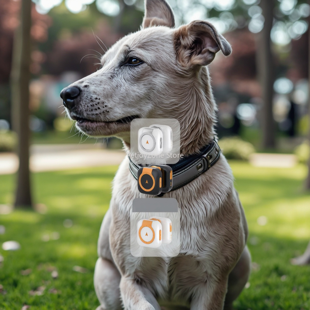 Dog Gps Tracker Collar 4G Waterproof - Rastreador GPS Popular para Mascotas, Resistente