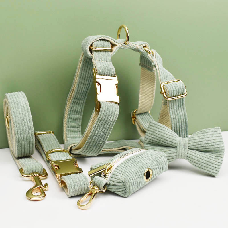Reflective Dog Collar Personalized Engraved - Conjunto de collar y correa para
