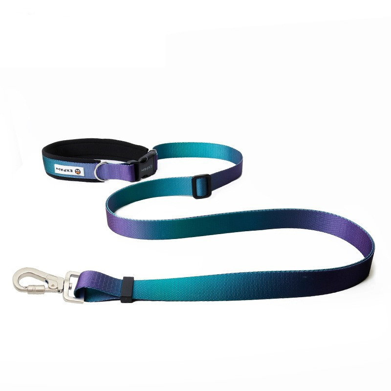 Hands Free Dog Running Leash Waist Belt - Correa para perro manos libres, cinturón