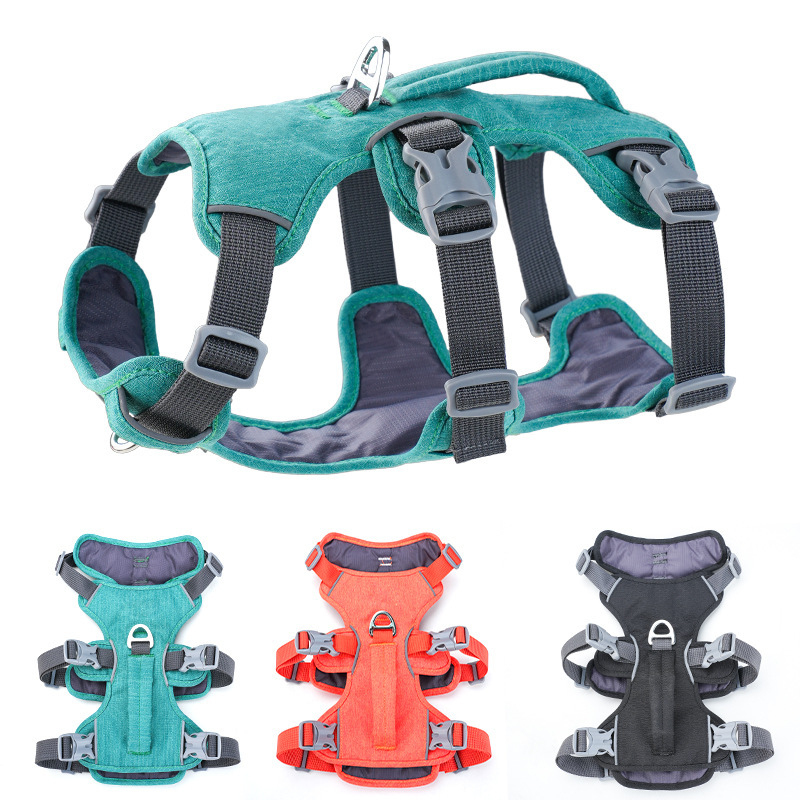Bungee Dog Leash Shock Absorbing - Arnés Reflectante Tipo Chaleco con Absorción