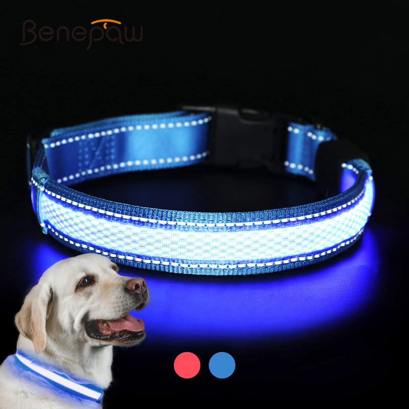 Led Dog Collar Glowing Rechargeable Usb - Benepaw-Collar de perro LED recargable por