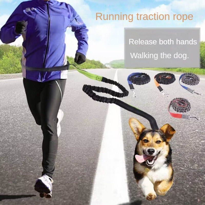 Hands Free Dog Running Leash Waist Belt - Correa de mano libre para perros,