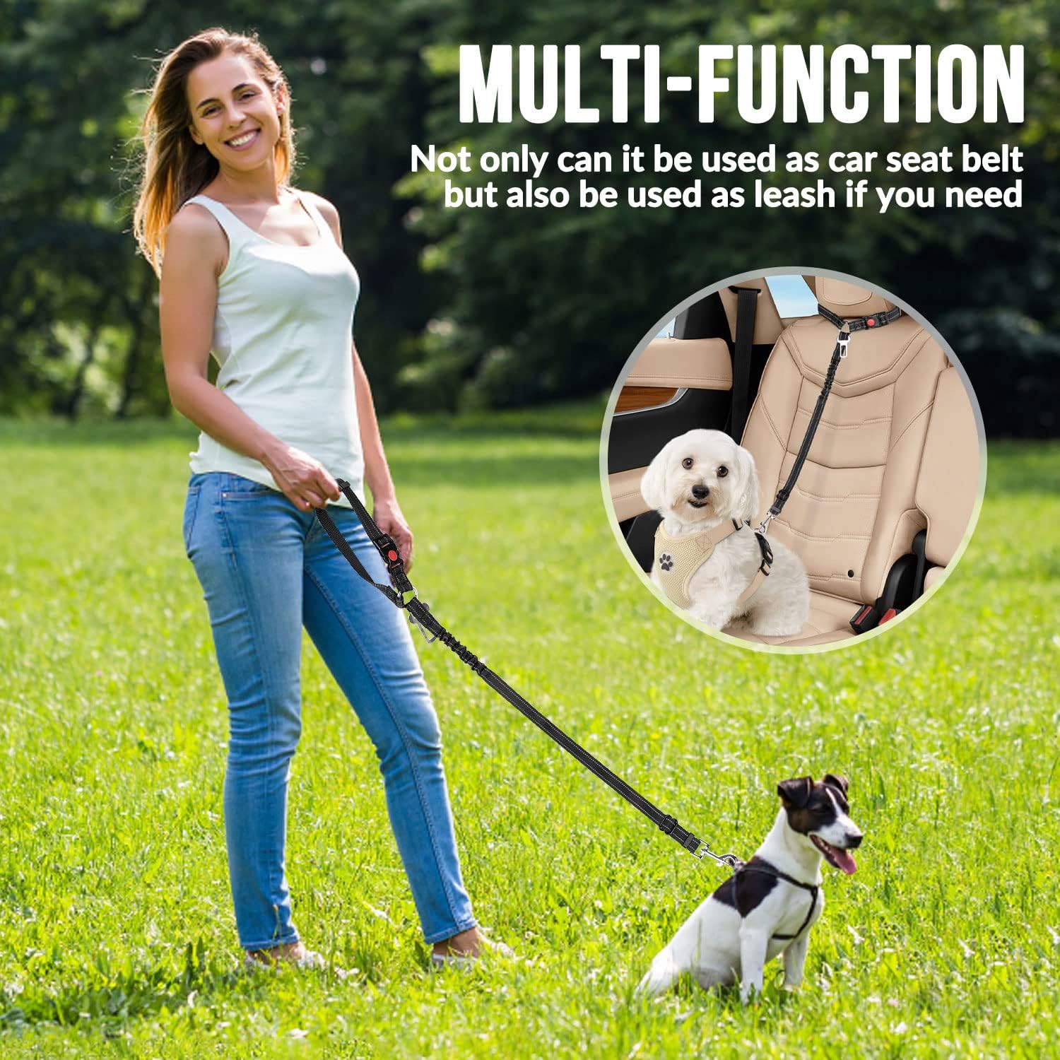 Dog Seat Belt Harness Safety Tether - Arnés de Seguridad para Perros en