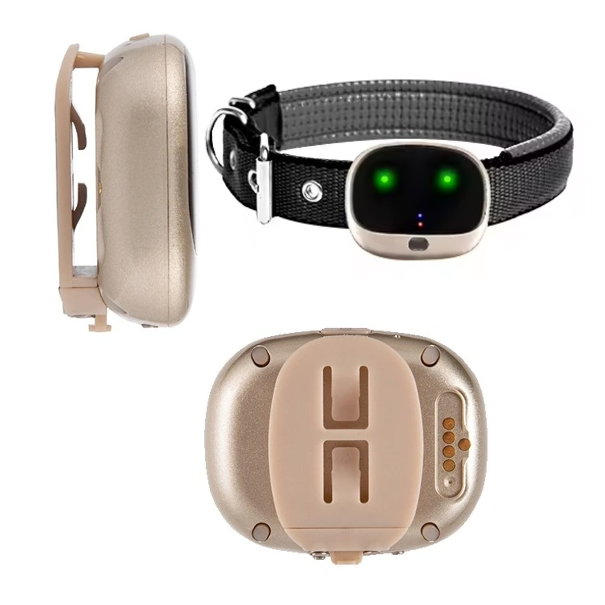 Rastreador Gps resistente al a - Dog Gps Tracker Collar 4G Waterproof reseña y precio
