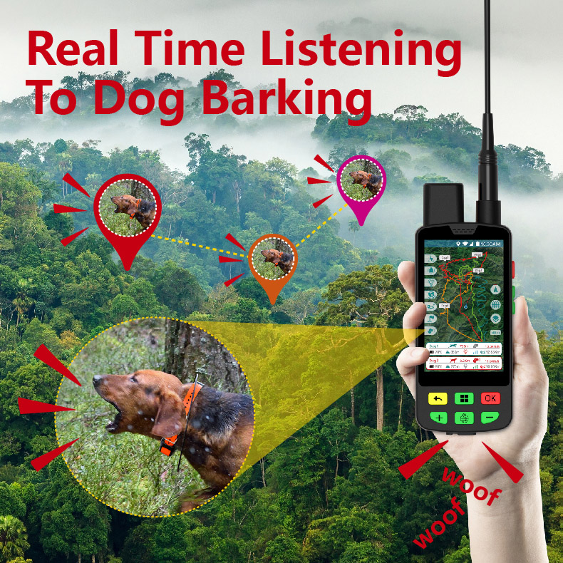 Rastreador GPS de 10 Millas de - Dog Gps Tracker Collar 4G Waterproof reseña y precio