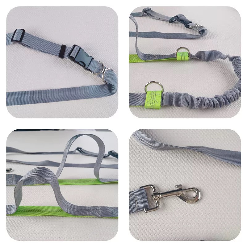 Correa Reflectante para Perros - Bungee Dog Leash Shock Absorbing reseña y precio