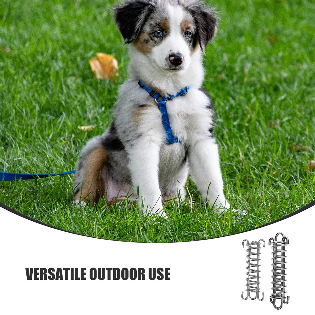 2 unidades de correa para perr - Bungee Dog Leash Shock Absorbing reseña y precio