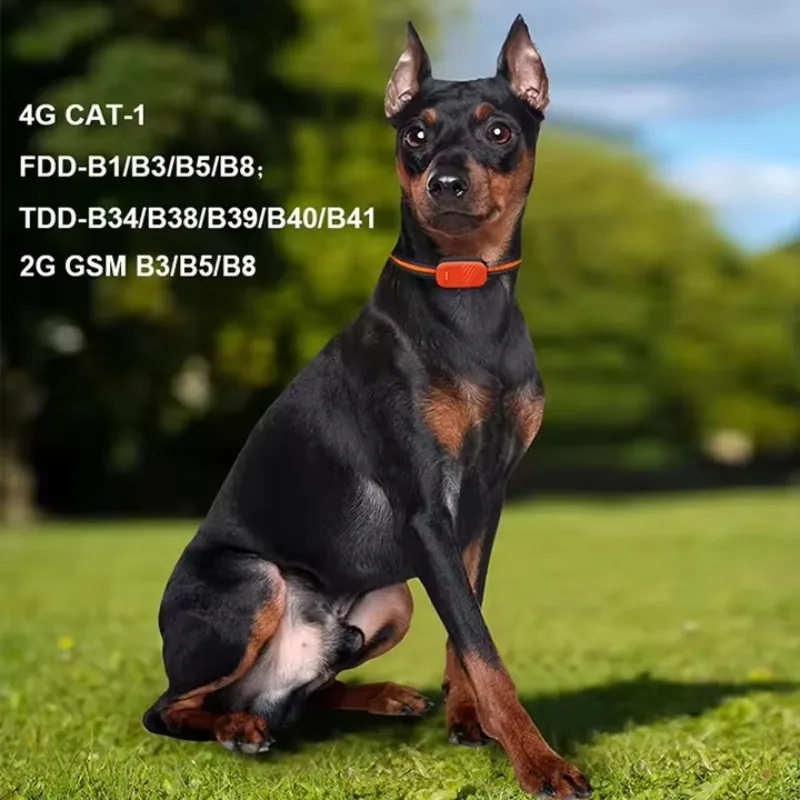 CANBOUN, superventas, impermea - Dog Gps Tracker Collar 4G Waterproof reseña y precio
