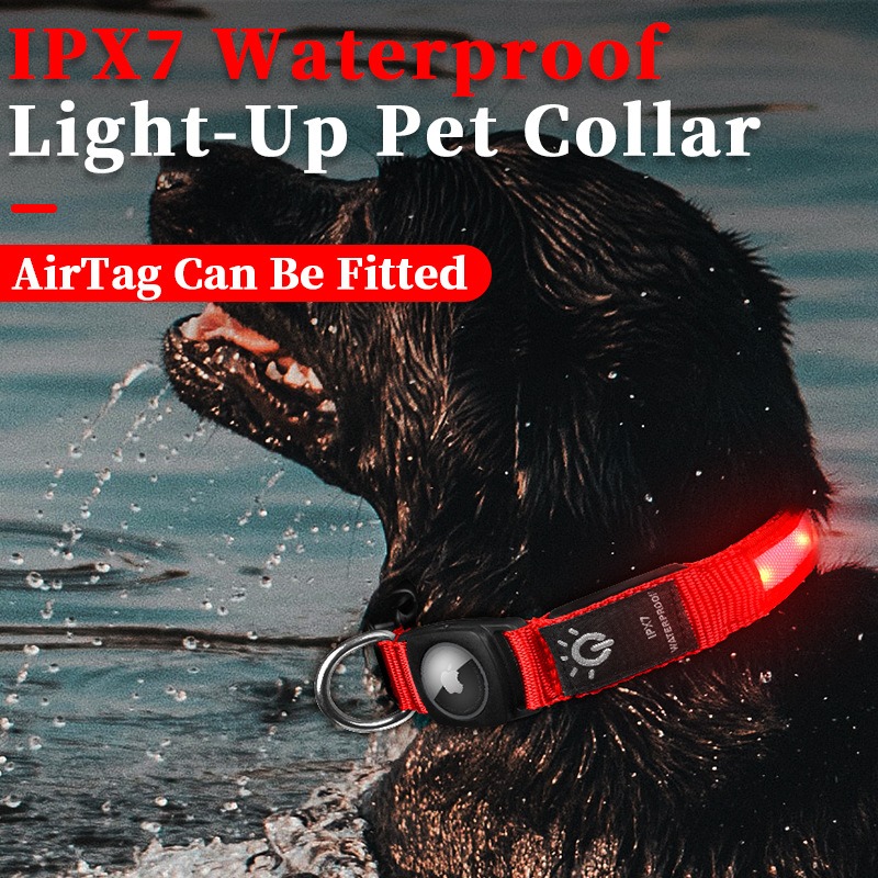 Collar Luminoso LED Recargable - Led Dog Collar Glowing Rechargeable Usb reseña y precio
