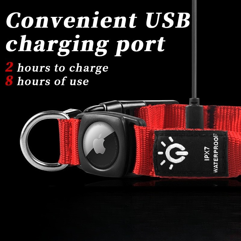 Collar Luminoso LED Recargable - Led Dog Collar Glowing Rechargeable Usb reseña y precio