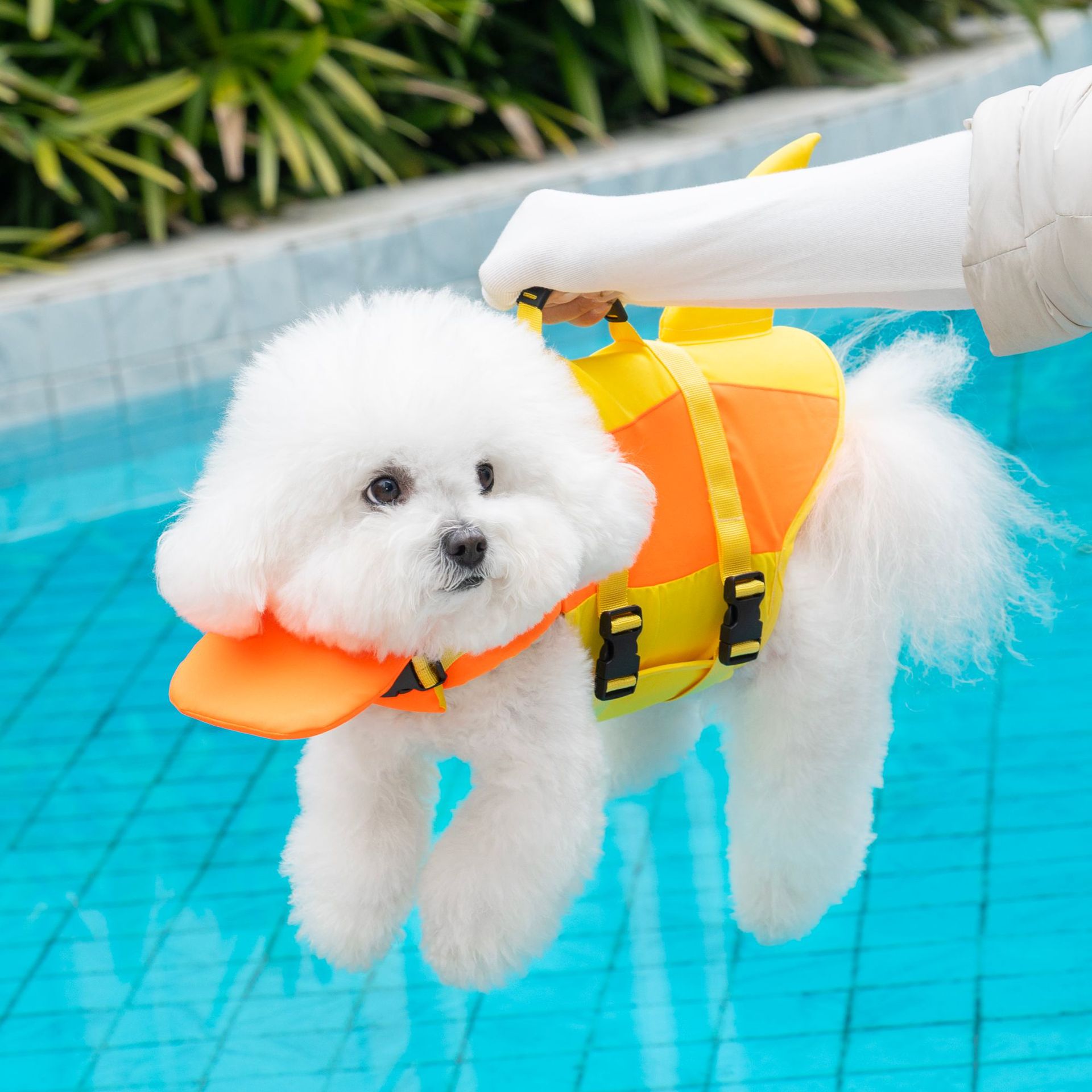 Chaleco Salvavidas para Perros - Dog Life Jacket Vest Buoyancy Handle reseña y precio