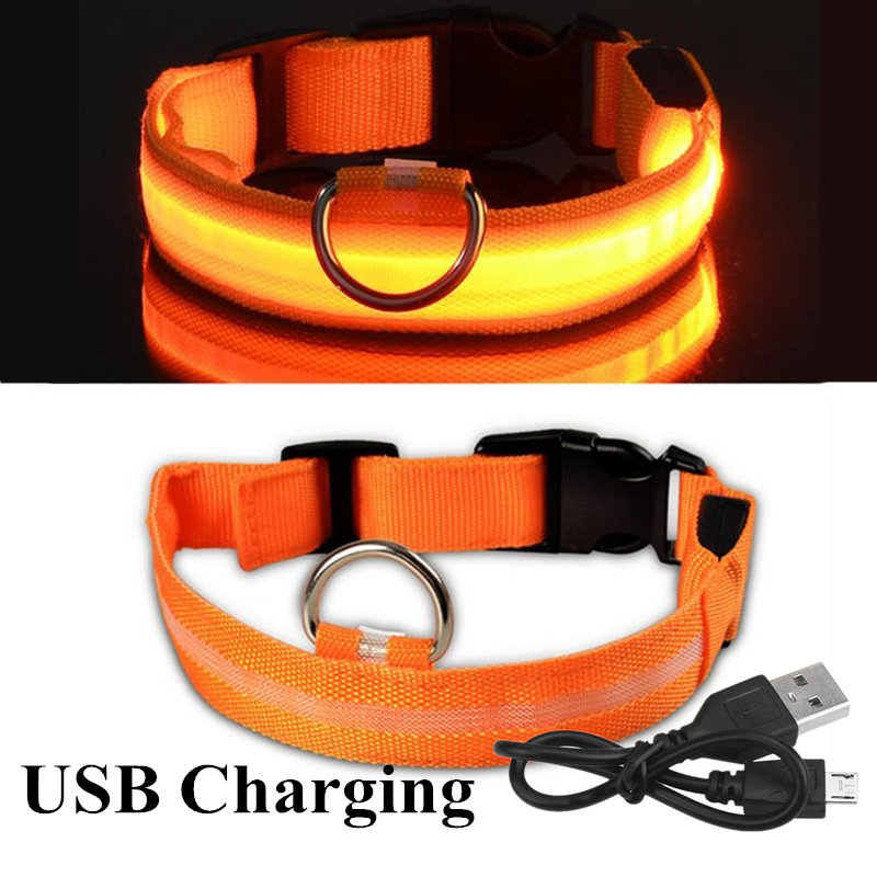 Collar LED brillante recargabl - Led Dog Collar Glowing Rechargeable Usb reseña y precio