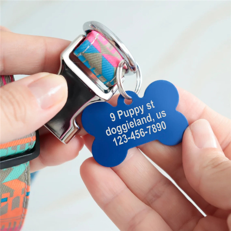 Placa de Identificación Person - Reflective Dog Collar Personalized Engraved reseña y precio