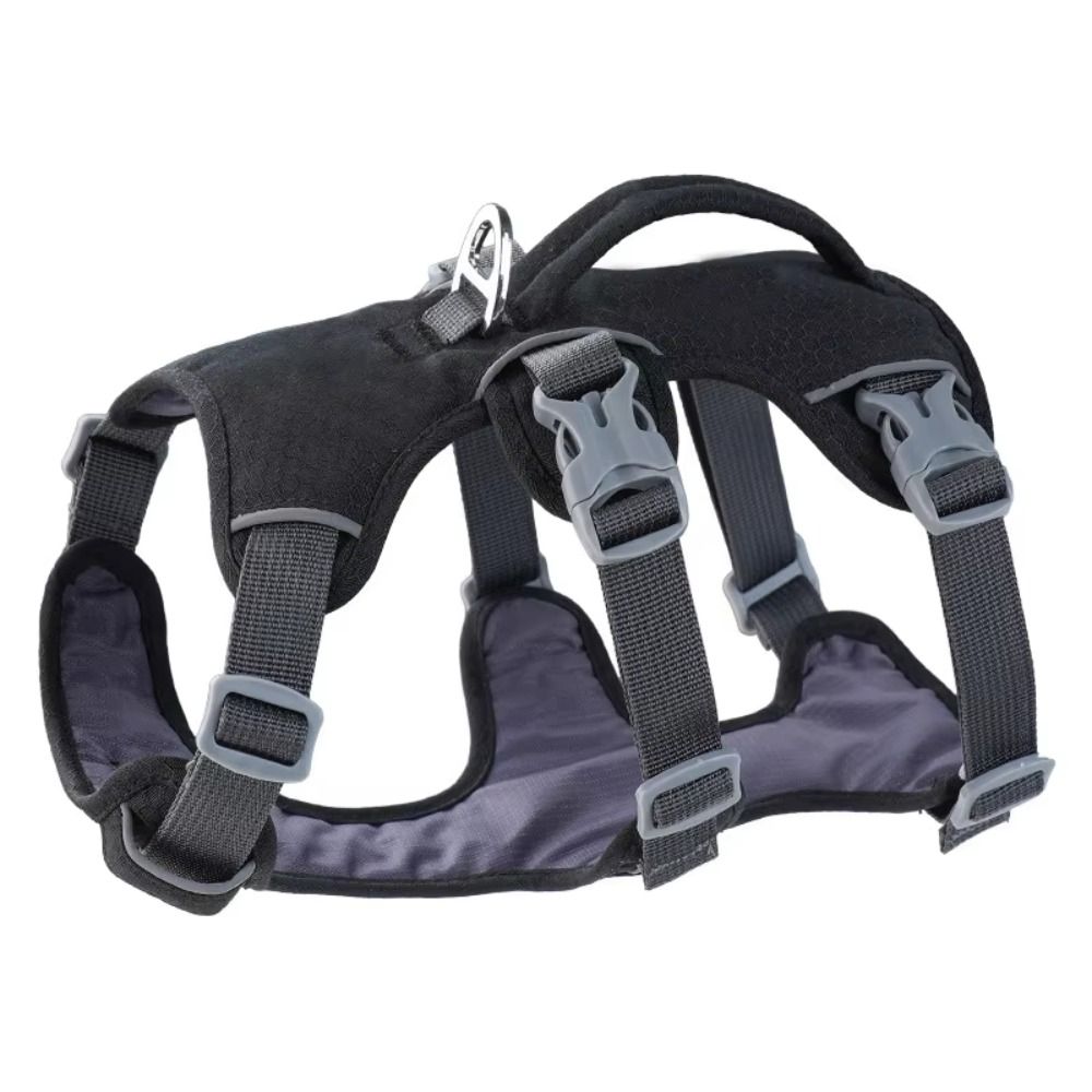 Arnés Reflectante para Perro c - Bungee Dog Leash Shock Absorbing reseña y precio