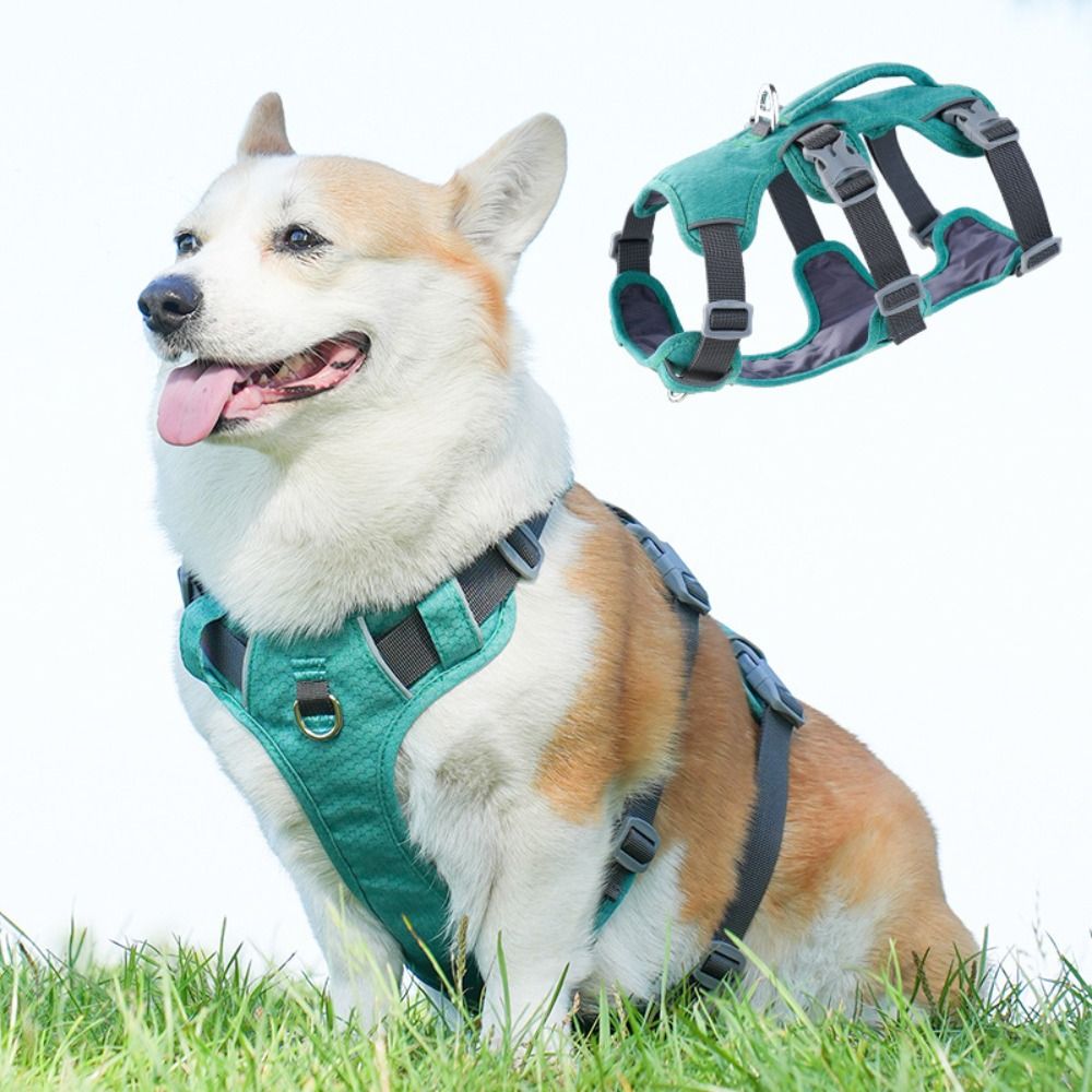 Arnés Reflectante para Perro c - Bungee Dog Leash Shock Absorbing reseña y precio