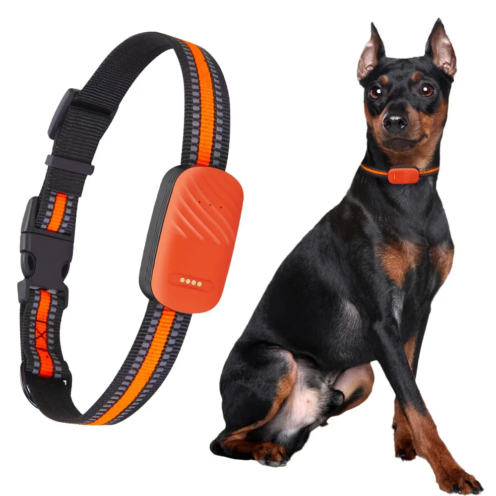 Collar GPS 4G para Mascotas, R - Dog Gps Tracker Collar 4G Waterproof reseña y precio