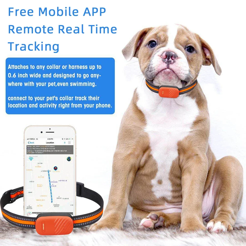 Collar GPS 4G para Mascotas, R - Dog Gps Tracker Collar 4G Waterproof reseña y precio