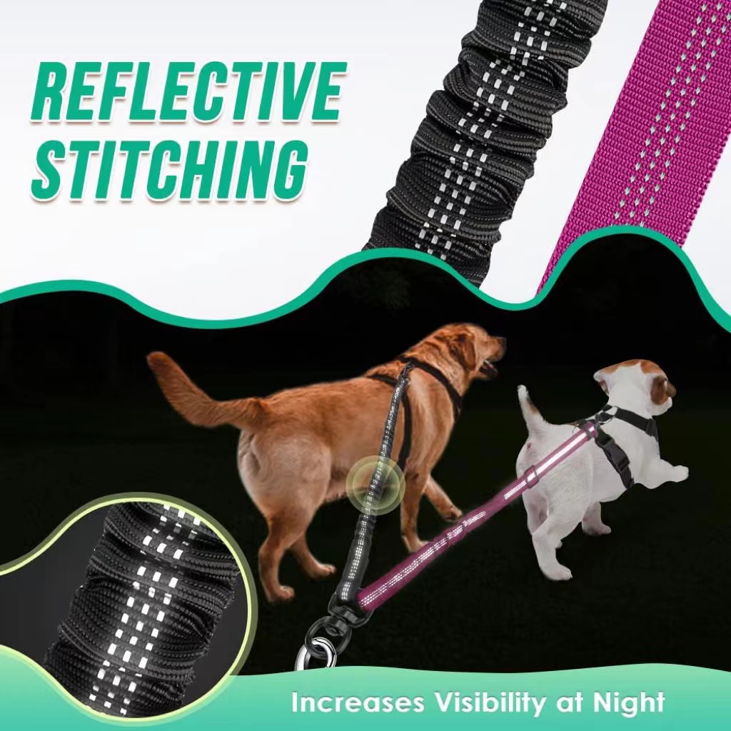 Correa doble para perros 2 en  - Bungee Dog Leash Shock Absorbing reseña y precio