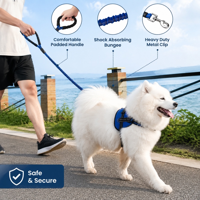 Correa elástica resistente de  - Bungee Dog Leash Shock Absorbing reseña y precio