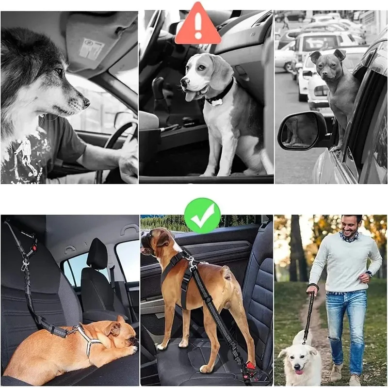 Cinturón de seguridad de coche - Dog Seat Belt Harness Safety Tether reseña y precio