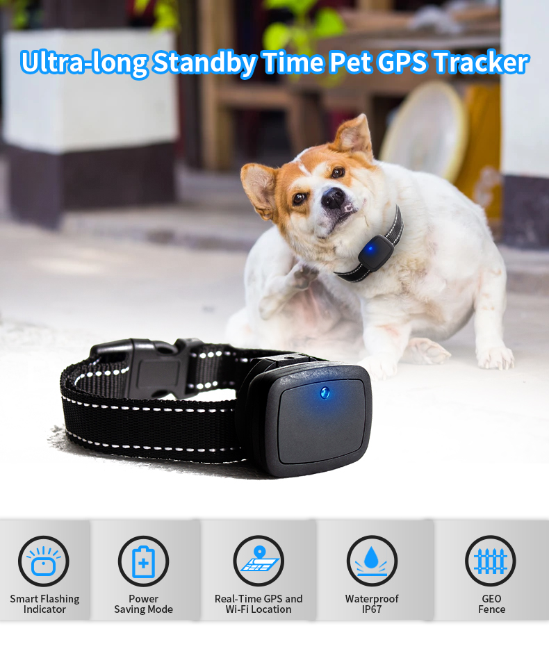 Collar LED Recargable por USB  - Led Dog Collar Glowing Rechargeable Usb reseña y precio