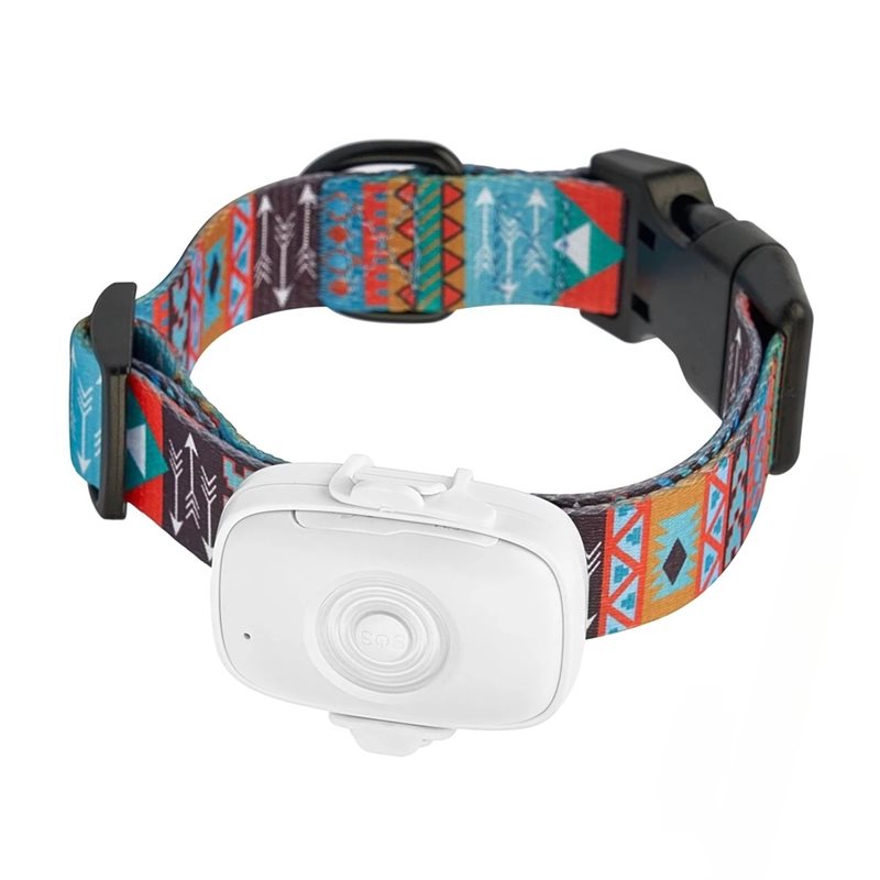 【MUST-HAVE】 Localizador GPS de - Dog Gps Tracker Collar 4G Waterproof reseña y precio