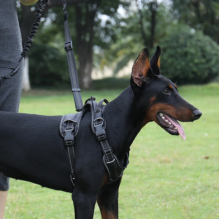 Correa de Perro Manos Libres p - Hands Free Dog Running Leash Waist Belt reseña y precio