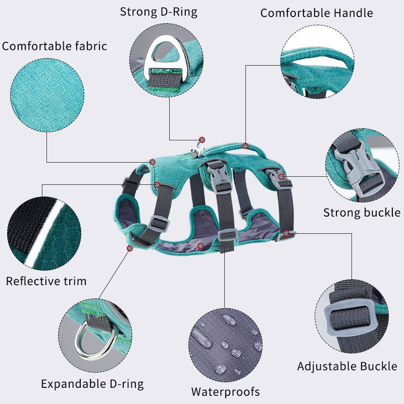 Arnés Reflectante Tipo Chaleco - Bungee Dog Leash Shock Absorbing reseña y precio