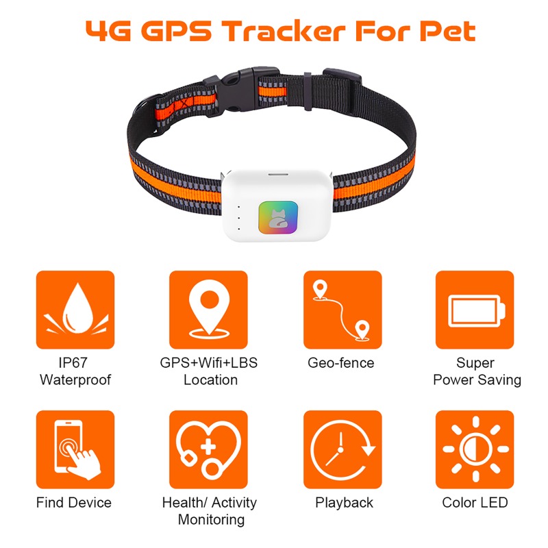 Rastreador GPS portátil con Fl - Dog Gps Tracker Collar 4G Waterproof reseña y precio