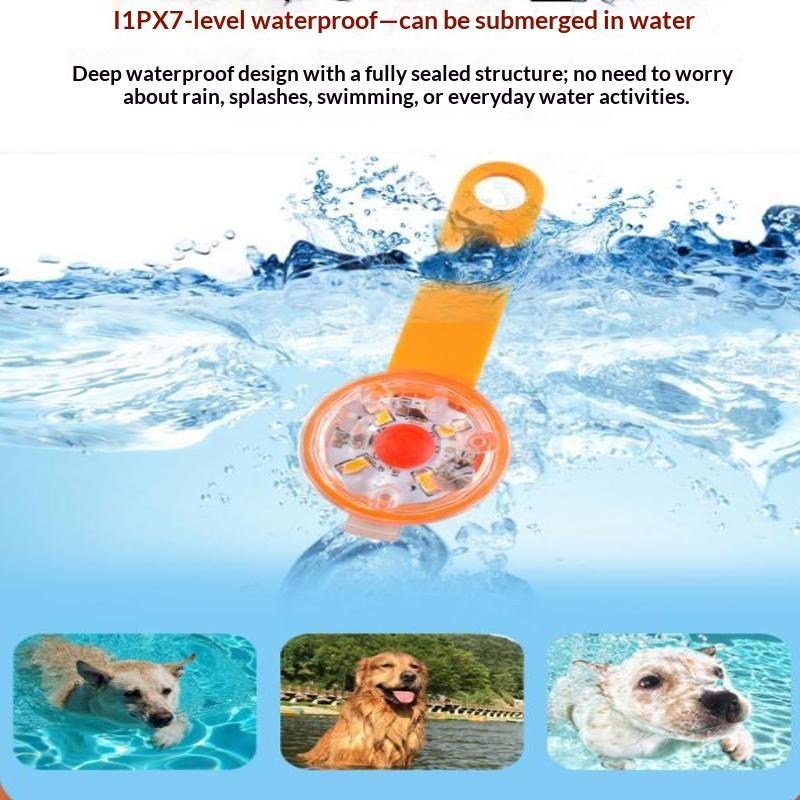 Collar LED para mascotas con l - Led Dog Collar Glowing Rechargeable Usb reseña y precio