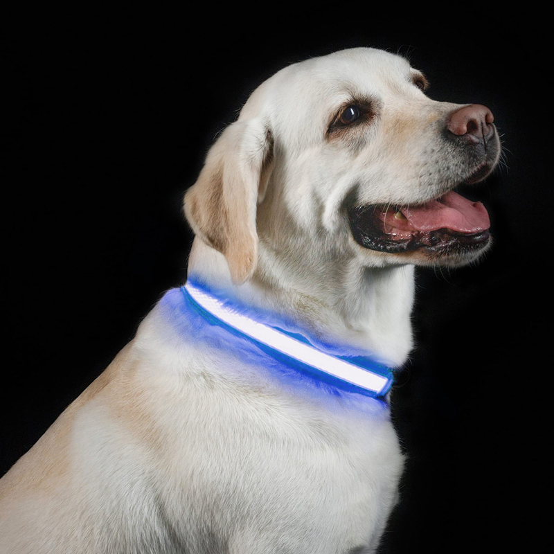 Benepaw-Collar de perro LED re - Led Dog Collar Glowing Rechargeable Usb reseña y precio