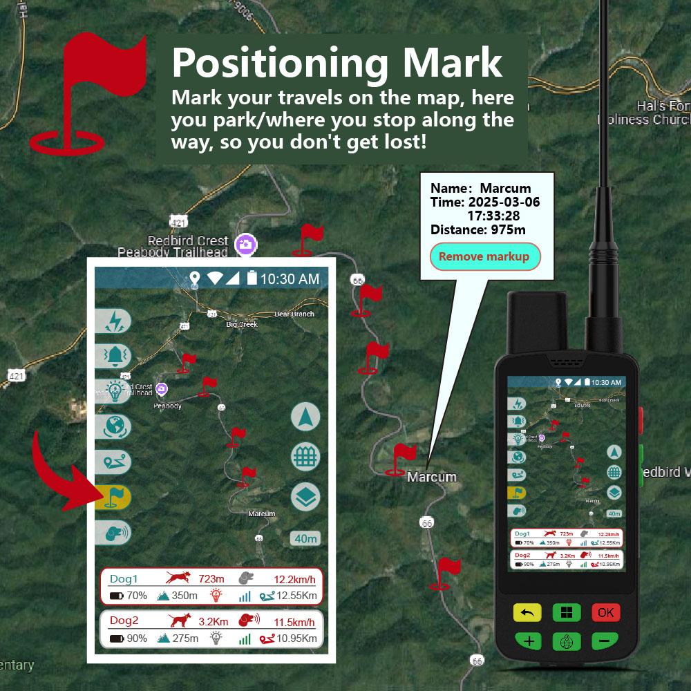 Collar Rastreador GPS para Per - Dog Gps Tracker Collar 4G Waterproof reseña y precio