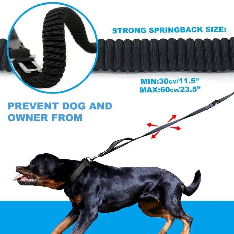 Correa para perros con absorci - Hands Free Dog Running Leash Waist Belt reseña y precio