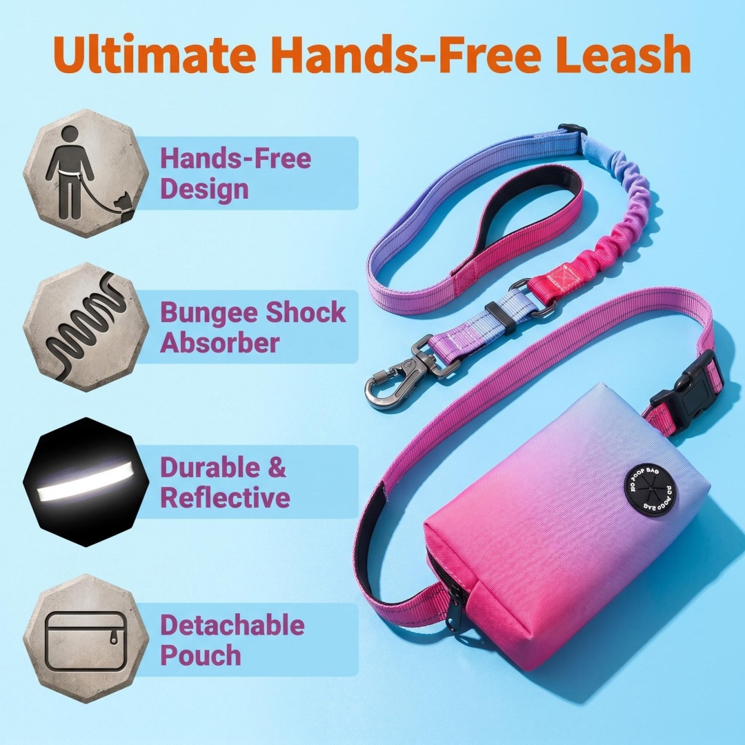 Correa para Perro Manos Libres - Bungee Dog Leash Shock Absorbing reseña y precio