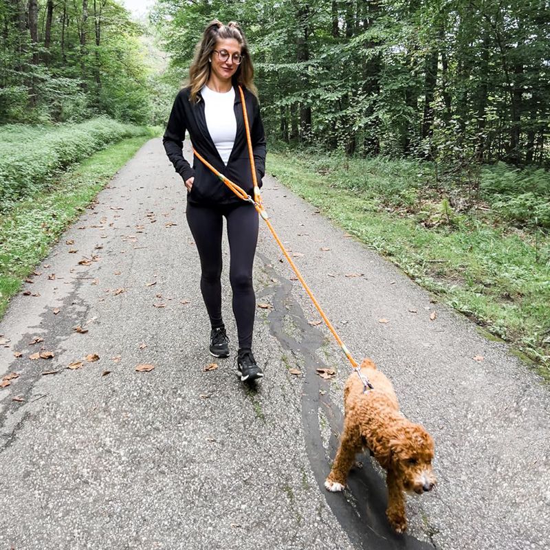 Correa reflectante para perros - Hands Free Dog Running Leash Waist Belt reseña y precio
