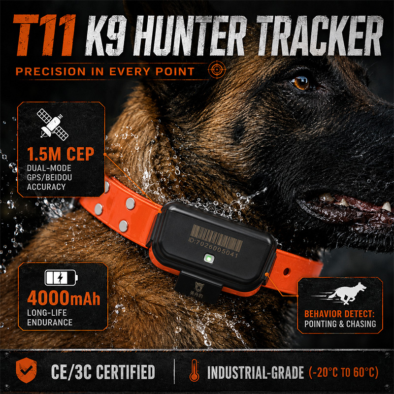 Rastreador GPS 4G T11 para Per - Dog Gps Tracker Collar 4G Waterproof reseña y precio