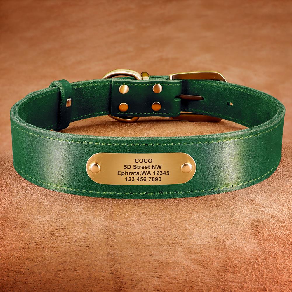 Collar de cuero personalizado  - Reflective Dog Collar Personalized Engraved reseña y precio