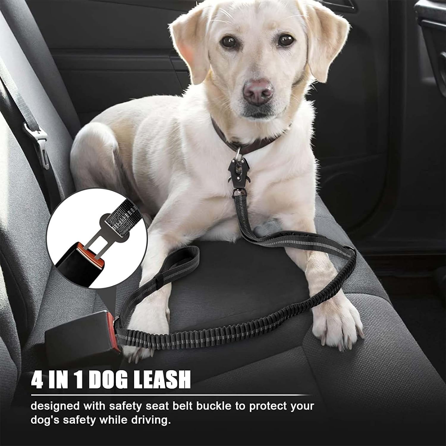 Correas reflectantes que absor - Bungee Dog Leash Shock Absorbing reseña y precio