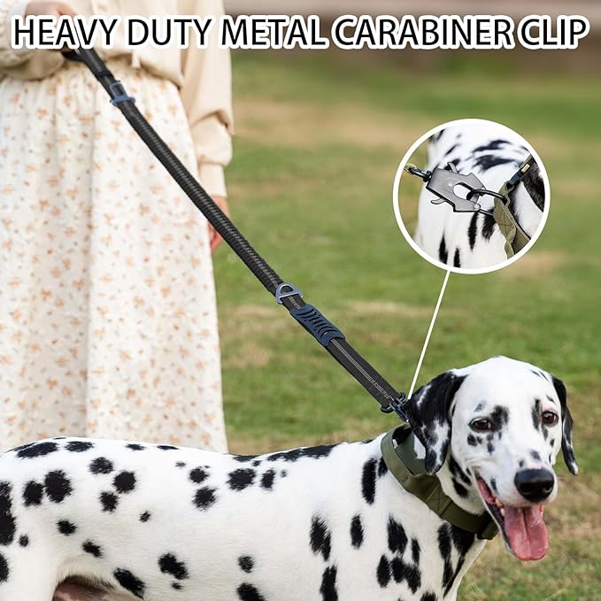 Correas reflectantes que absor - Bungee Dog Leash Shock Absorbing reseña y precio