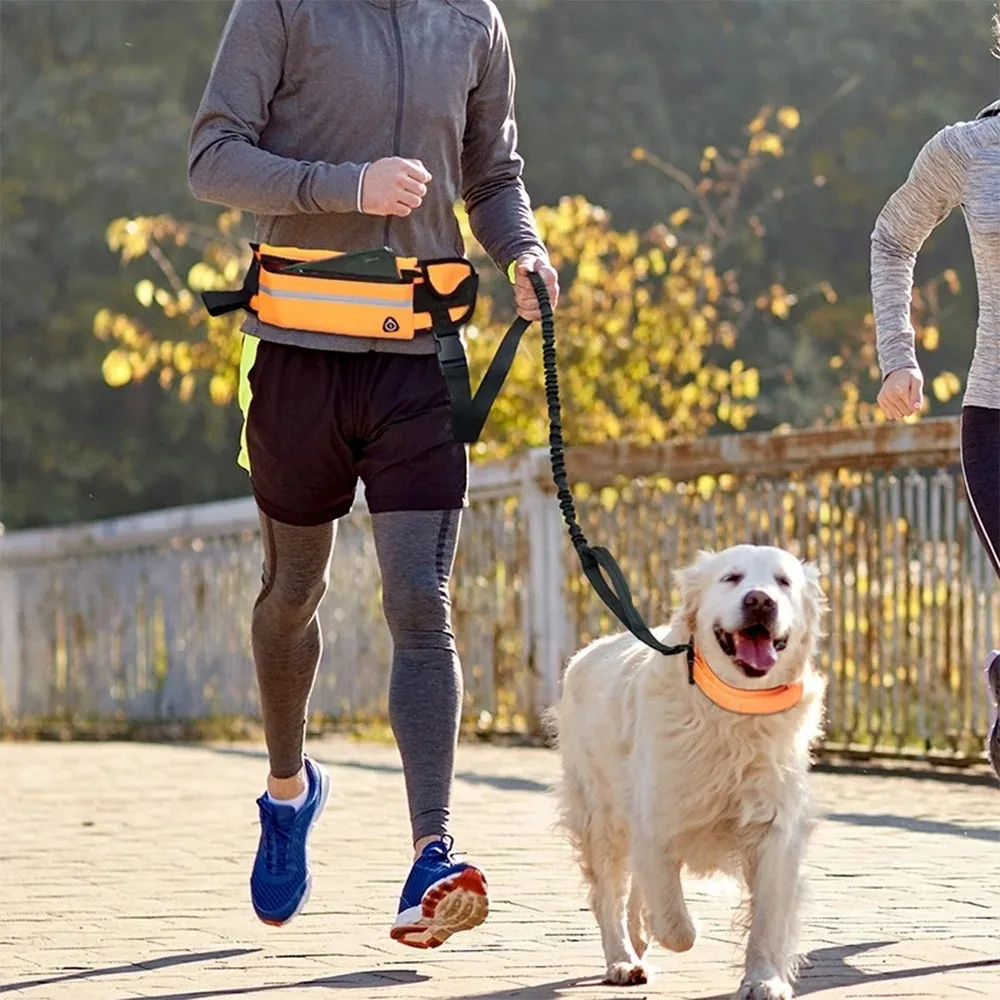 Correa de perro manos libres p - Hands Free Dog Running Leash Waist Belt reseña y precio
