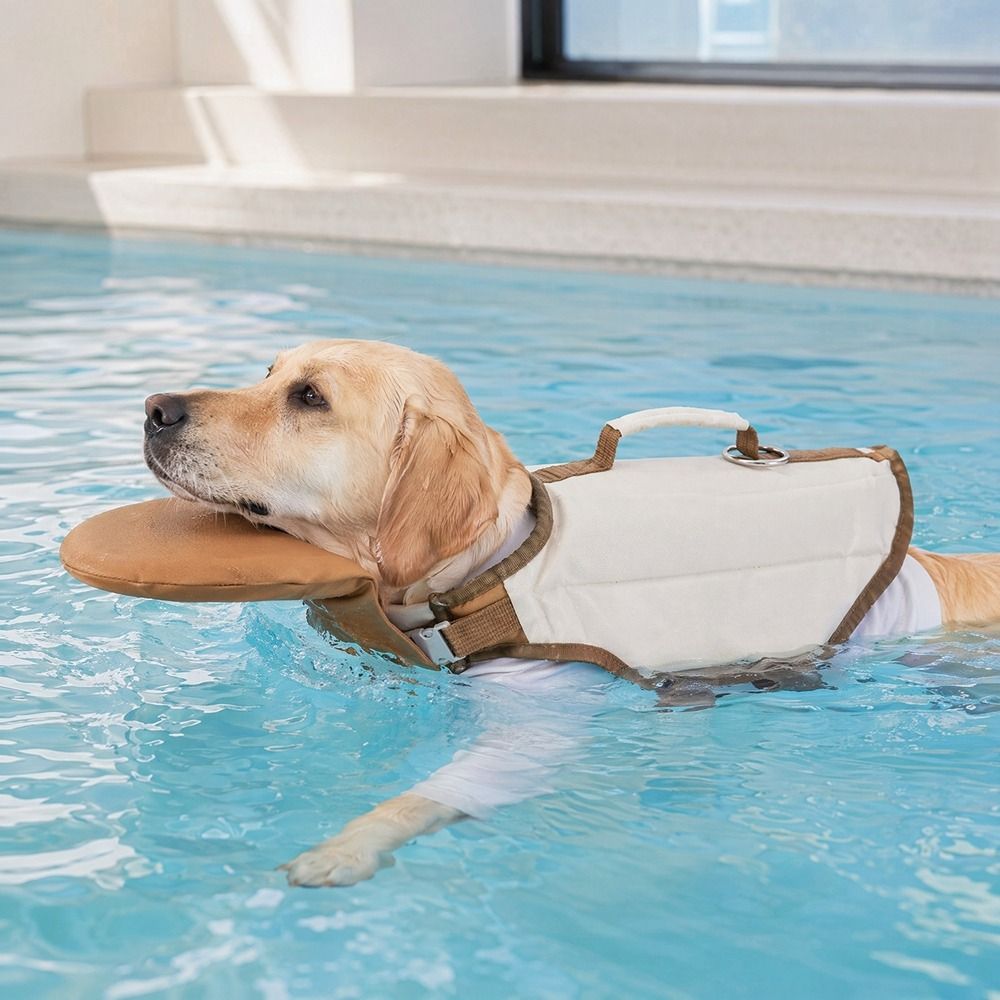 Chaleco salvavidas ajustable p - Dog Life Jacket Vest Buoyancy Handle reseña y precio